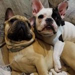 Elizabeth Toth - @elizabeth.toth.5 - Instagram