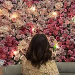Elizabeth Trask - @elizabeth_hat27 - Instagram