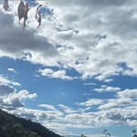 Elizabeth Us - @elizabeth425398 - Instagram