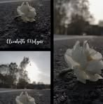 Elizabeth Us - Facebook