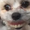 elizabethhutts - @elizabethhutts - TikTok