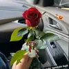 🥀💔 Êlîžäbêth 🌻🥀🍂 - @elizabeth.vail5 - TikTok