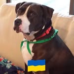 Elizabeth Vail Schoener - @schoenerelizabeth - Instagram