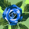 Elizabeth vanderpool - @elizabeth.vanderp2 - TikTok