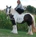 Elizabeth Vanderpool - Facebook