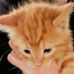 Elizabeth Vandervort - Facebook