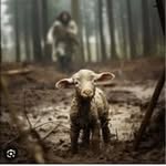 Elizabeth Vanover - @eyhuff731 - Instagram