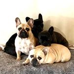 Elizabeth Cutajar Vassallo - @elizabeth.vassallo.14 - Instagram