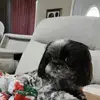 Elizabeth Yelverton - @elizabeth.yelvert7 - TikTok