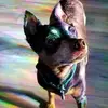 Elizabeth Vick - @user65cwkdvbs6 - TikTok