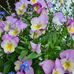 Elisabeth Wald - Facebook