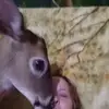 Elizabeth Oswald - @elizabeth.oswald1 - TikTok