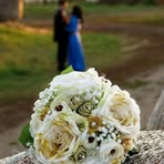 Elizabeth Waldner - Facebook