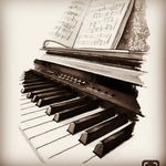 elizabeth waldner - @waldner_elizabeth - Instagram