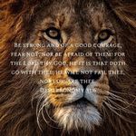 Elizabeth Wallis - @elisheva4152 - Instagram