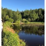 Elizabeth Wallis - @elizabethwallis95 - Instagram
