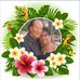Elizabeth Wallwork - Facebook