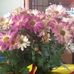 Elizabeth Wareham - Facebook