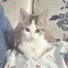 elizabethkirkwarn - @elizabethkirkwarn - TikTok