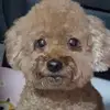 Elizabeth Wee - @elizabeth.wee - TikTok