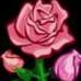 Elizabeth Weimer - Facebook