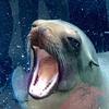 elizabethweimer217 - @elizabethweimer217 - TikTok