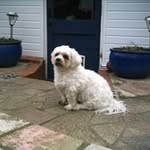 Elizabeth Whitbread - @ewhitbread - Instagram
