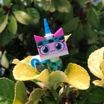 Elizabeth_Wickersham - @elizabeth_wickersham3 - Instagram