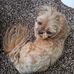 Elizabeth Widner - Facebook