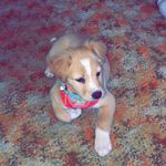 Zoe Elizabeth Widner - @zoewidner - Instagram