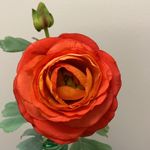Elizabeth Windham - @nonnieblue - Instagram