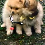 Elizabeth Winget - @c.elizabeth32 - Instagram