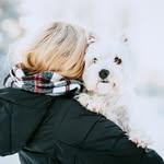 Elizabeth with the pack - @terrierswithpurpose - Instagram