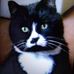 Elizabeth Wetherell - Facebook