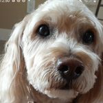Elizabeth Witten - @elizabeth.witten.5 - Instagram