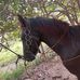 Elizeu Oliveira - Facebook