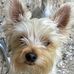 Elke Richter - Facebook