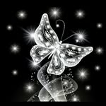 Elke Richter - @elke_richter67 - Instagram