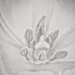 Elke - @el_ke_white_black - Instagram