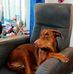 Elke Witte - Facebook