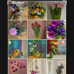 @elke.winter_blumen - Instagram