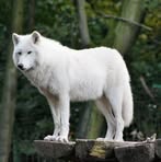 Elke Winter - Facebook