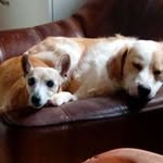 Elke Winter - @elke.winter1 - Instagram