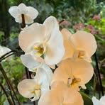 Elke Winter - Facebook
