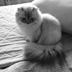 Elke Winter - Facebook