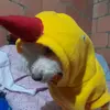 Elkin Ramirez - @fabianramirez2707 - TikTok