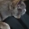 Elkin Toro - @elkin.toro5 - TikTok