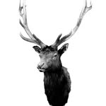 Everett Elks Lodge 479 - @elkslodge479 - Instagram