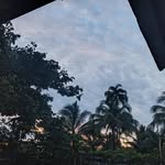 E'll David - @e_ll_david - Instagram