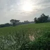 Ell Moon - @turjaona - TikTok